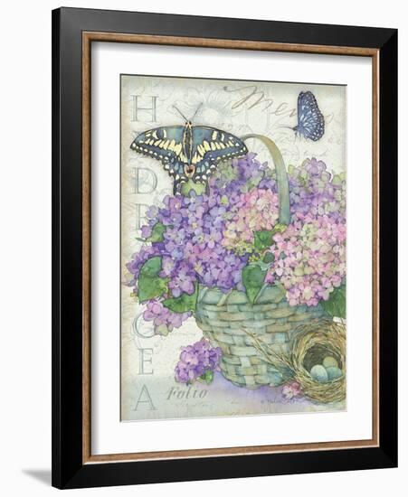 Hydrangea Folio-Julie Paton-Framed Art Print