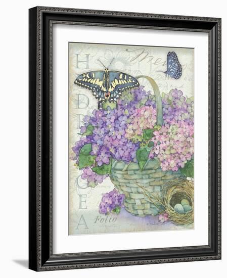 Hydrangea Folio-Julie Paton-Framed Art Print