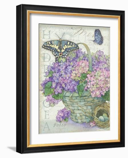 Hydrangea Folio-Julie Paton-Framed Art Print