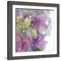 Hydrangea Haze I-Linda Wood-Framed Giclee Print
