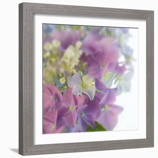 Hydrangea Haze I-Linda Wood-Framed Giclee Print