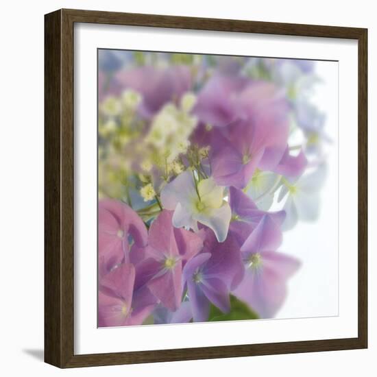 Hydrangea Haze I-Linda Wood-Framed Giclee Print