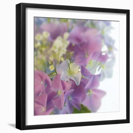 Hydrangea Haze I-Linda Wood-Framed Giclee Print