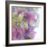 Hydrangea Haze I-Linda Wood-Framed Giclee Print