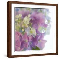 Hydrangea Haze I-Linda Wood-Framed Giclee Print