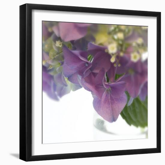 Hydrangea Haze II-Linda Wood-Framed Giclee Print