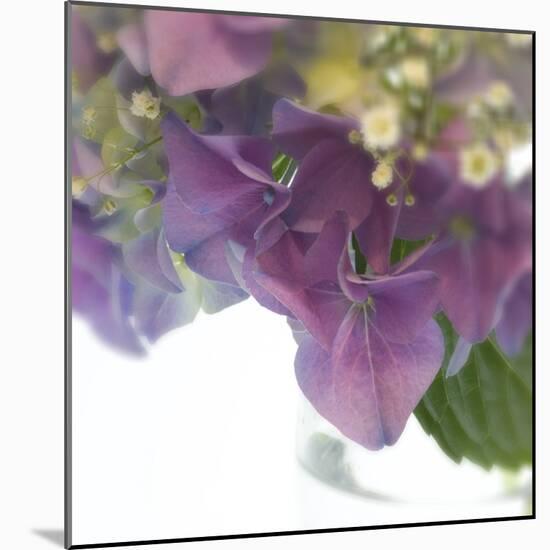 Hydrangea Haze II-Linda Wood-Mounted Giclee Print