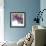 Hydrangea Haze II-Linda Wood-Framed Giclee Print displayed on a wall