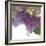 Hydrangea Haze II-Linda Wood-Framed Giclee Print