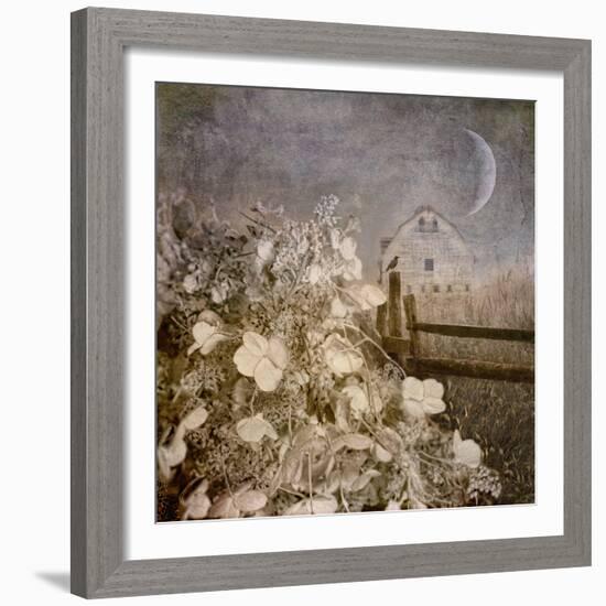 Hydrangea Hill-Dawne Polis-Framed Art Print