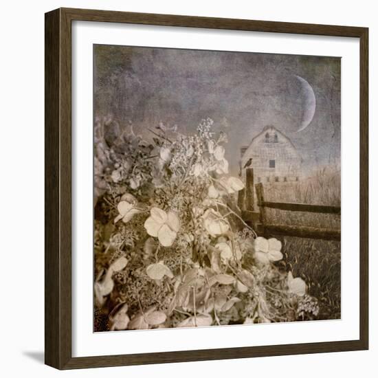 Hydrangea Hill-Dawne Polis-Framed Art Print