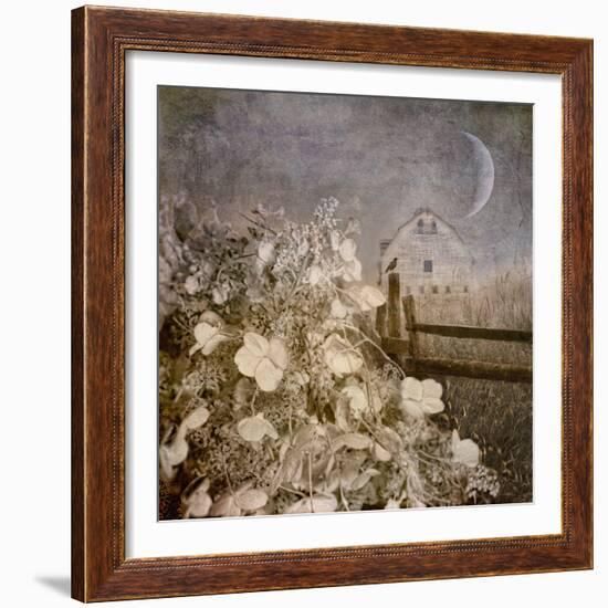 Hydrangea Hill-Dawne Polis-Framed Art Print