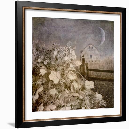 Hydrangea Hill-Dawne Polis-Framed Art Print