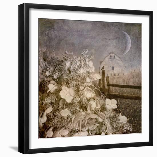 Hydrangea Hill-Dawne Polis-Framed Art Print