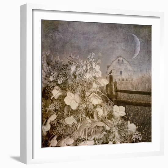 Hydrangea Hill-Dawne Polis-Framed Art Print