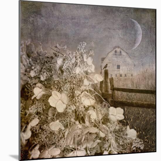 Hydrangea Hill-Dawne Polis-Mounted Art Print