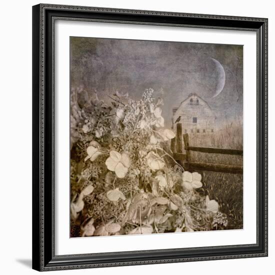 Hydrangea Hill-Dawne Polis-Framed Art Print