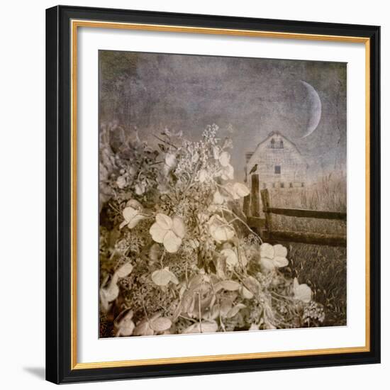 Hydrangea Hill-Dawne Polis-Framed Art Print