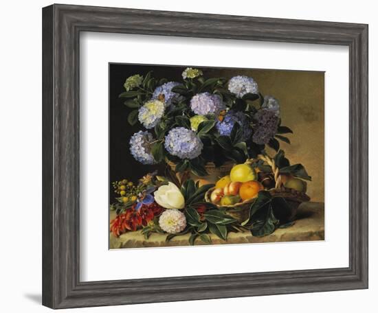 Hydrangea in an Urn and a Basket of Fruit on a Ledge-Johan Laurentz Jensen-Framed Giclee Print