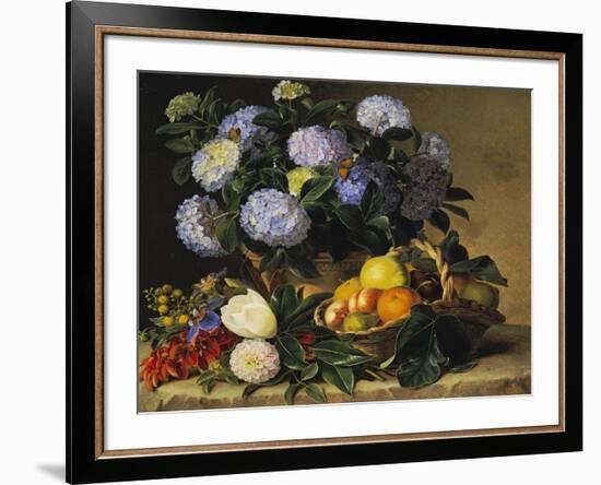 Hydrangea in an Urn and a Basket of Fruit on a Ledge-Johan Laurentz Jensen-Framed Giclee Print