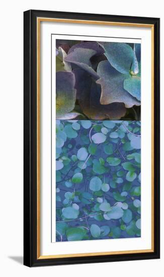 Hydrangea Mix II-Ricki Mountain-Framed Photographic Print