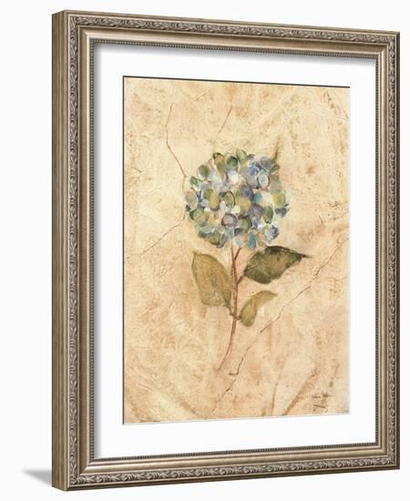 Hydrangea on Cracked Linen-Cheri Blum-Framed Art Print