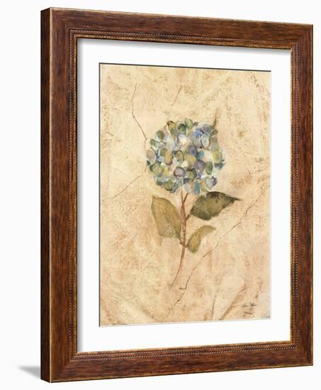 Hydrangea on Cracked Linen-Cheri Blum-Framed Art Print