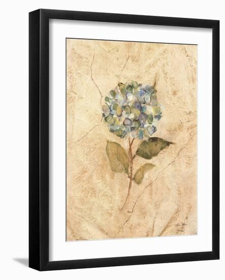 Hydrangea on Cracked Linen-Cheri Blum-Framed Art Print