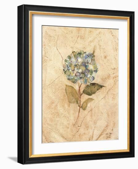 Hydrangea on Cracked Linen-Cheri Blum-Framed Art Print