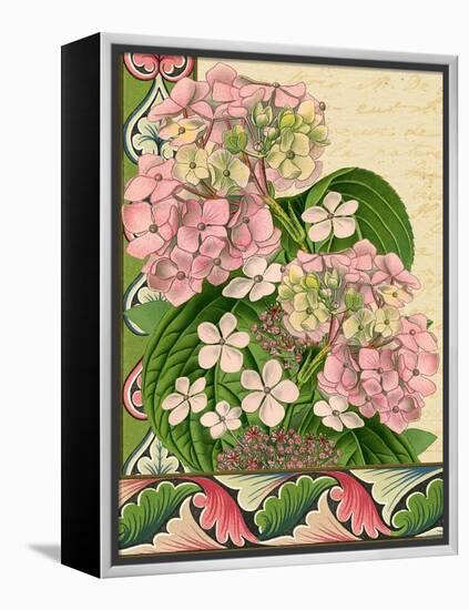 Hydrangea on Love Letters-Piddix-Framed Stretched Canvas