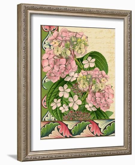 Hydrangea on Love Letters-Piddix-Framed Art Print