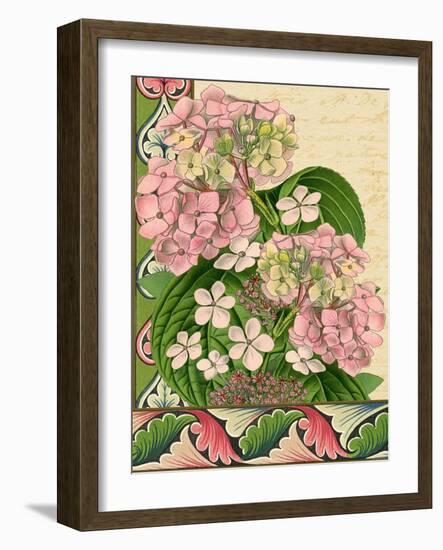 Hydrangea on Love Letters-Piddix-Framed Art Print