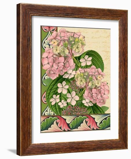 Hydrangea on Love Letters-Piddix-Framed Art Print