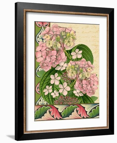 Hydrangea on Love Letters-Piddix-Framed Art Print