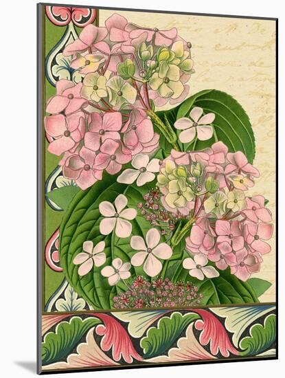 Hydrangea on Love Letters-Piddix-Mounted Art Print