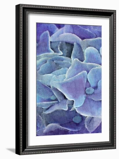 Hydrangea Panel 1-Kimberly Allen-Framed Art Print