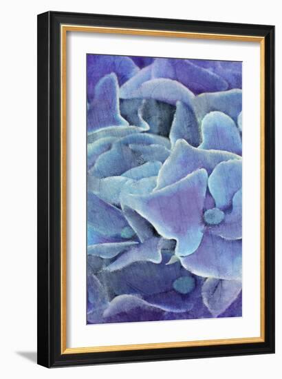 Hydrangea Panel 1-Kimberly Allen-Framed Art Print