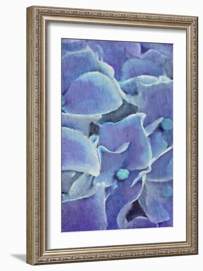 Hydrangea Panel 2-Kimberly Allen-Framed Art Print