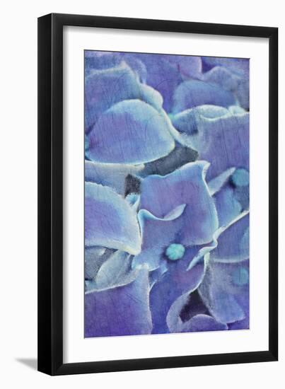 Hydrangea Panel 2-Kimberly Allen-Framed Art Print