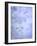 Hydrangea Paniculata II-Kathy Mahan-Framed Photographic Print