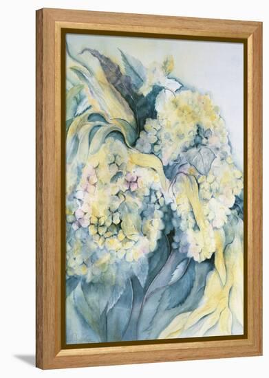 Hydrangea Particulata-Karen Armitage-Framed Premier Image Canvas