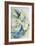 Hydrangea Particulata-Karen Armitage-Framed Giclee Print