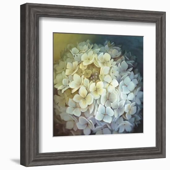 Hydrangea Portrait-Lisa Audit-Framed Giclee Print