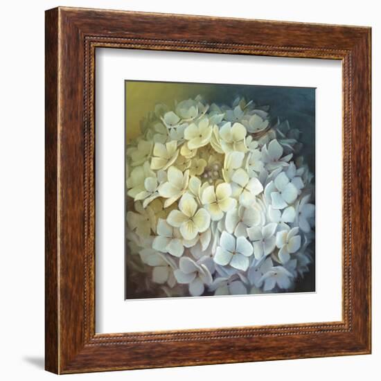 Hydrangea Portrait-Lisa Audit-Framed Giclee Print