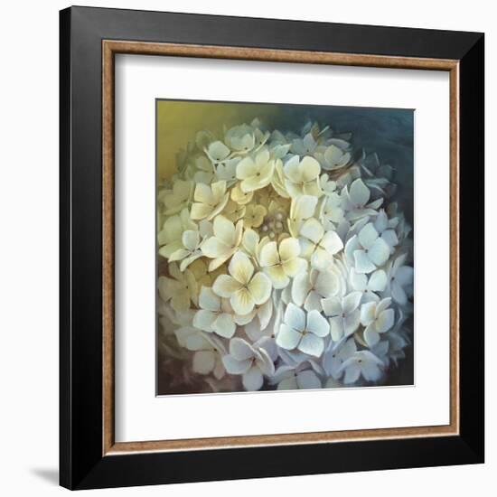 Hydrangea Portrait-Lisa Audit-Framed Giclee Print