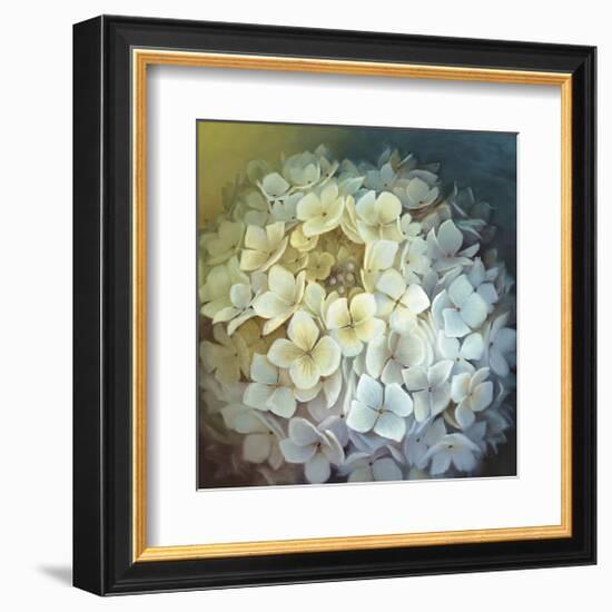 Hydrangea Portrait-Lisa Audit-Framed Giclee Print