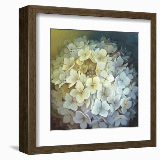 Hydrangea Portrait-Lisa Audit-Framed Giclee Print