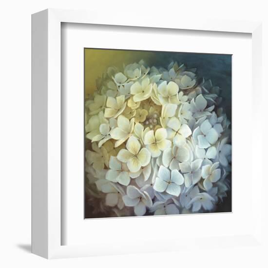 Hydrangea Portrait-Lisa Audit-Framed Giclee Print