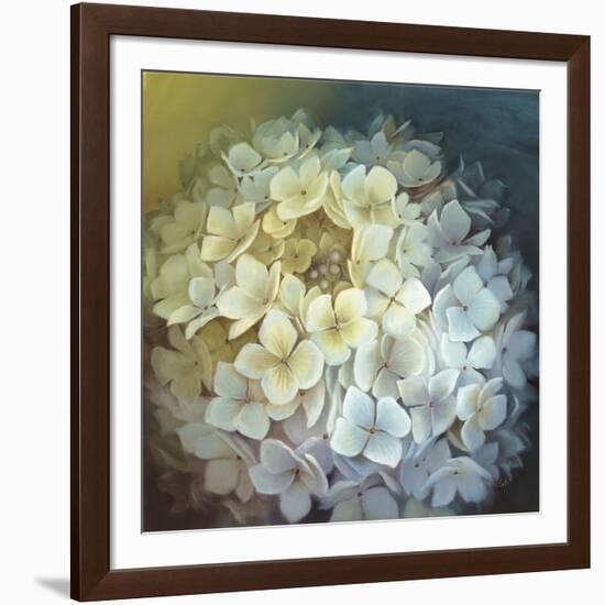 Hydrangea Portrait-Lisa Audit-Framed Art Print