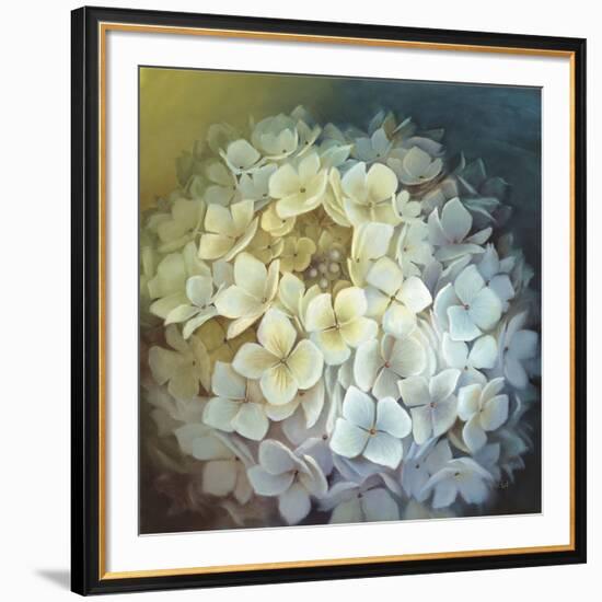 Hydrangea Portrait-Lisa Audit-Framed Art Print